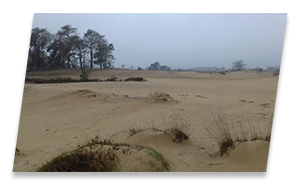 zandduinen